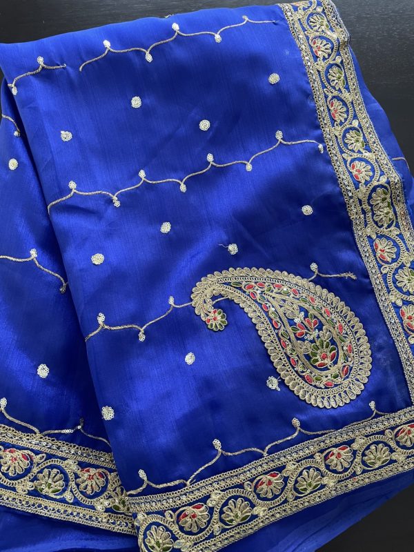 Organza Saree Blue - Image 2