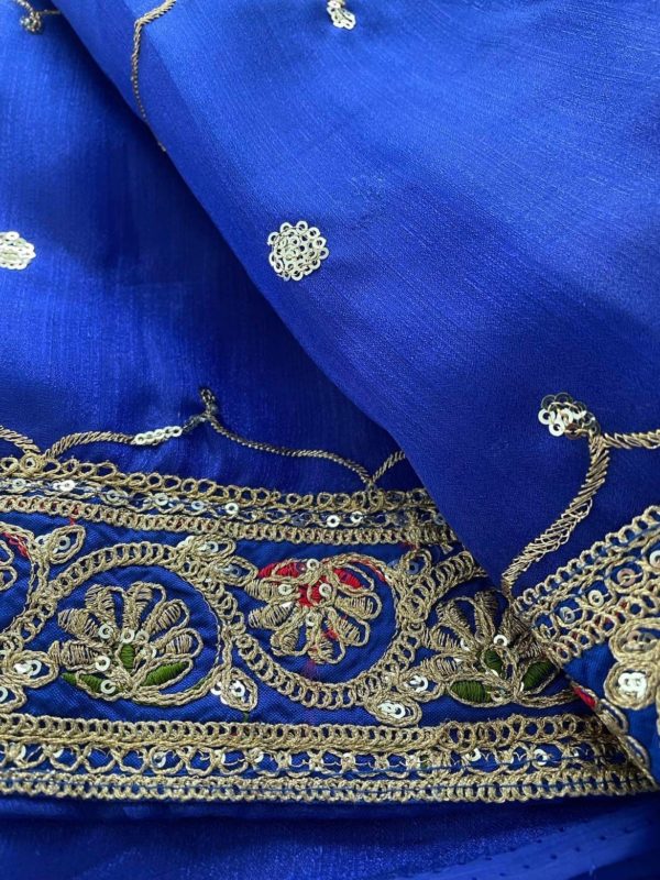 Organza Saree Blue - Image 3